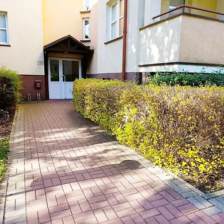 Kolory Warmii Niebieski Olsztyn (Warmian-Masurian)